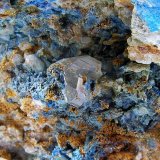 (Autor: Nacho)