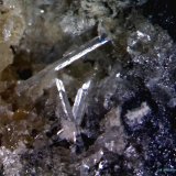 Cerusita.
2´702 x 2´684 mm.
(Autor: Jesus Franquesa Baucells)