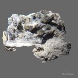 Cerusita y Galena
20x16 mm.
(Autor: Jesus Franquesa Baucells)