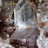 Cerusita.
2´627 x 1´515 mm.
(Autor: Jesus Franquesa Baucells)