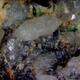 Cerusita
0´529x0´256 mm.
(Autor: Jesus Franquesa Baucells)
