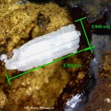 Cerusita.
2´765 x 0´946 mm.
(Autor: Jesus Franquesa Baucells)