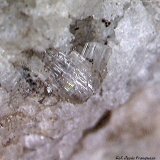 Cerusita.
1´622 x 1´264 mm.
(Autor: Jesus Franquesa Baucells)