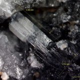 Cerusita.
5´388 x 1´774 mm.
(Autor: Jesus Franquesa Baucells)