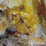 Cerusita.
1´252 x 1´058 mm.
(Autor: Jesus Franquesa Baucells)