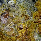 Cerusita.
2´796 x 2´148 mm.
(Autor: Jesus Franquesa Baucells)