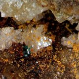 Cerusita y Paratacamita.
2´626 x 1´573 mm.
(Autor: Jesus Franquesa Baucells)