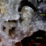 Cerusita.
2´558 x 1´924 mm.
(Autor: Jesus Franquesa Baucells)
