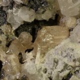 Cerusita
4 x 2 mm. el cristal
(Autor: Javier Rodriguez)