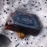Chayesita
Campo de visión 2,3 mm
(Autor: Juan Miguel)