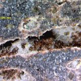 Chayesita
4 ´646 x 2´431 mm.
(Autor: Jesus Franquesa Baucells)