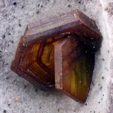 Chayesita
Campo de visión 2,1 mm
(Autor: Juan Miguel)
