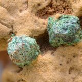 Digenita recubierta de Malaquita
Campo de visión de 15 mm.
(Autor: Antonio Carmona)