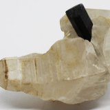 Chorlo
5.5X5X4 cm.
(Autor: Luis Edmundo Sánchez Roja)