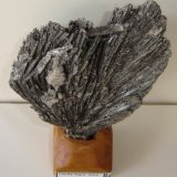 Cianita
11 x 9 x 0,6 cm
(Autor: Anisio Claudio)