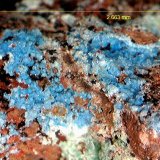 Cianotriquita.
2´663 x 1´384 mm.
(Autor: Jesus Franquesa Baucells)