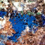 Cianotriquita.
4´5 x 2´7 mm.
(Autor: Jesus Franquesa Baucells)