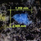 Cianotriquita.
1´25 x 0´98 mm.
(Autor: Jesus Franquesa Baucells)