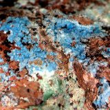 Cianotriquita.
2´663 x 1´384 mm.
(Autor: Jesus Franquesa Baucells)