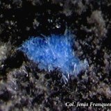 Cianotriquita.
1´25 x 0´98 mm.
(Autor: Jesus Franquesa Baucells)