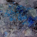 Cianotriquita.
2´330 x 1´894 mm.
(Autor: Jesus Franquesa Baucells)