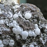 Calcita
Cristales de 2 a 4 mm
(Autor: María Jesús M.)