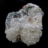 Escolecita
6,5 x 5 x 4 cm
(Autor: María Jesús M.)