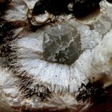 Natrolita y Mesolita, Calcita.
Ancho de imagen 1 cm
(Autor: María Jesús M.)
