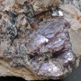 Lepidolita
Ancho de imagen 4 cm
(Autor: María Jesús M.)