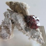 Cinabrio, Cuarzo
Tamaño de la pieza 4,5 x 3 x 2,1 cm., cristal de 1,5 x 1,2 x 1 cm.
(Autor: Nacho)