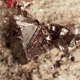 Cinabrio, Calcita
Cristal de 1.2cm
(Autor: Raul Vancouver)