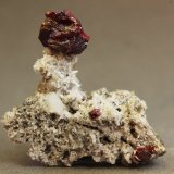 Cinabrio
20x24x08 mm
(Autor: Juan Espino)