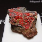 Cinabrio
25x20 mm
(Autor: Ignacio)