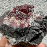 Cinabrio
6,5 x 5,2 x 4,5 cm
(Autor: carles)
