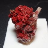 Cinabrio (variedad bermellón)
25x30 mm
(Autor: Ignacio)