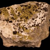Andradita (variedad melanito), Epidota, Prehnita
16,5 x 13 x 6 cm
(Autor: carles)