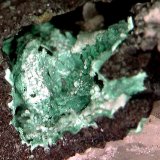 Clinoatacamita.
4´371 x 3´814 mm.
(Autor: Jesus Franquesa Baucells)