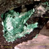 Clinoatacamita.
4´371 x 3´814 mm.
(Autor: Jesus Franquesa Baucells)