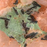 Clinoclasa
Campo de visión de 2 mm.
(Autor: Antonio Carmona)