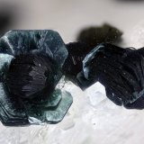 Clinocloro
Campo de visión 2,7 mm
(Autor: Juan Miguel)