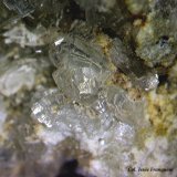 Clinoptilolita.
4´915 x 3´851 mm.
(Autor: Jesus Franquesa Baucells)
