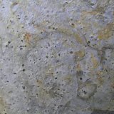 Cloritoide
(Autor: Carlos J. Rodríguez)