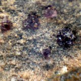 Smithsonita (variedad cobaltosmithsonita)
1 mm
(Autor: José Luis Zamora)
