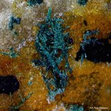 Cobre
4´328 x 2´116 mm.
(Autor: Jesus Franquesa Baucells)