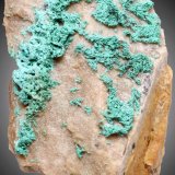 Cobre pseudomalaquita
38 x 21 x 15 mm.
(Autor: José Luis Zamora)