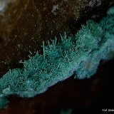Cobre pseudomórfico de Malaquita.
4´70 x 3´71 mm.
(Autor: Jesus Franquesa Baucells)