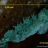 Cobre pseudomórfico de Malaquita.
4´70x 3´71 mm.
(Autor: Jesus Franquesa Baucells)
