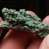 Cobre
Mina Santa Primitiva, Nogalte, Lorca, Comarca Alto Guadalentín, Región de Murcia (Murcia), España
4 cm largo
(Autor: Matias Raja)