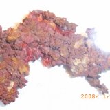 Cobre y Cuprita (variedad calcotriquita)
6x4 cm.
(Autor: J.L.Carrizo)
