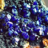 Azurita
Medida: 5,0 x 3,4 x 3,1 cms
(Autor: Joan Martinez Bruguera)